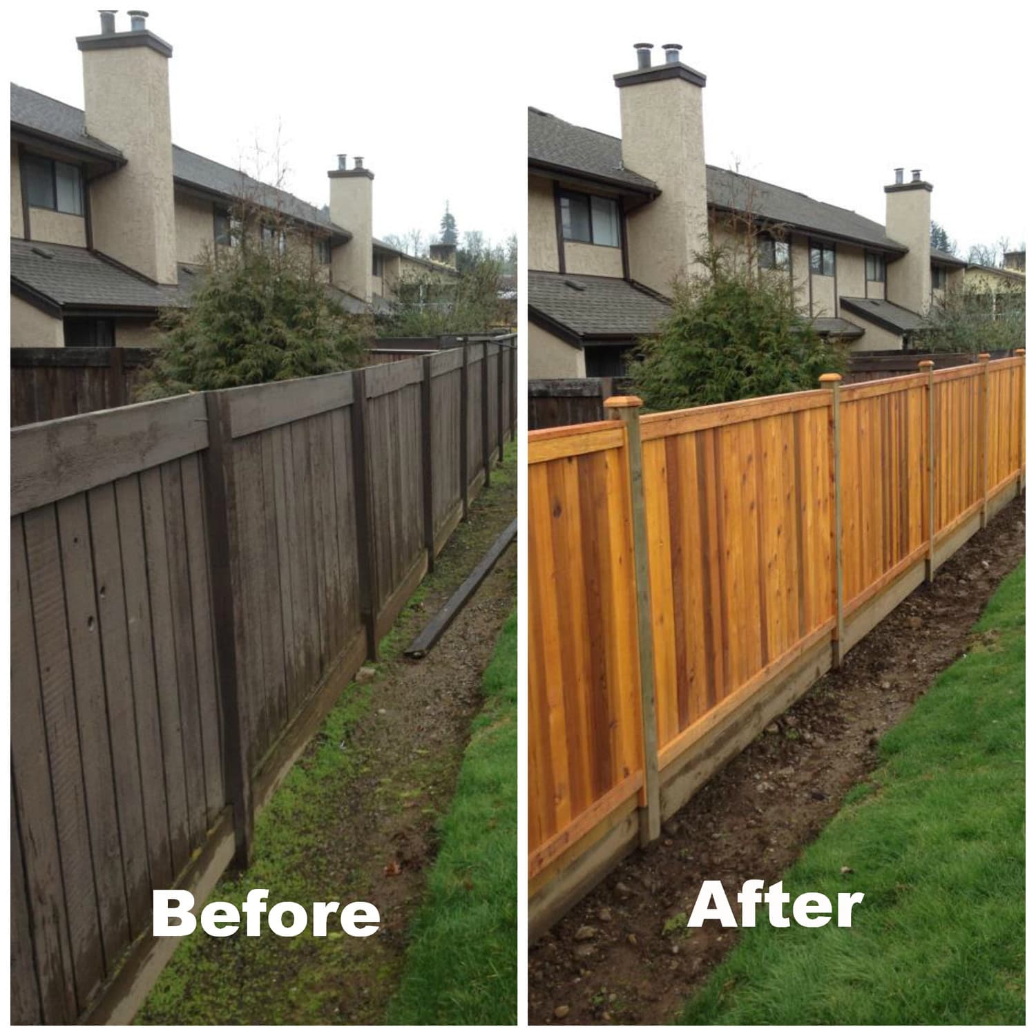 Before and after comparison of weathered grey wooden fence restored with fresh orange stain.