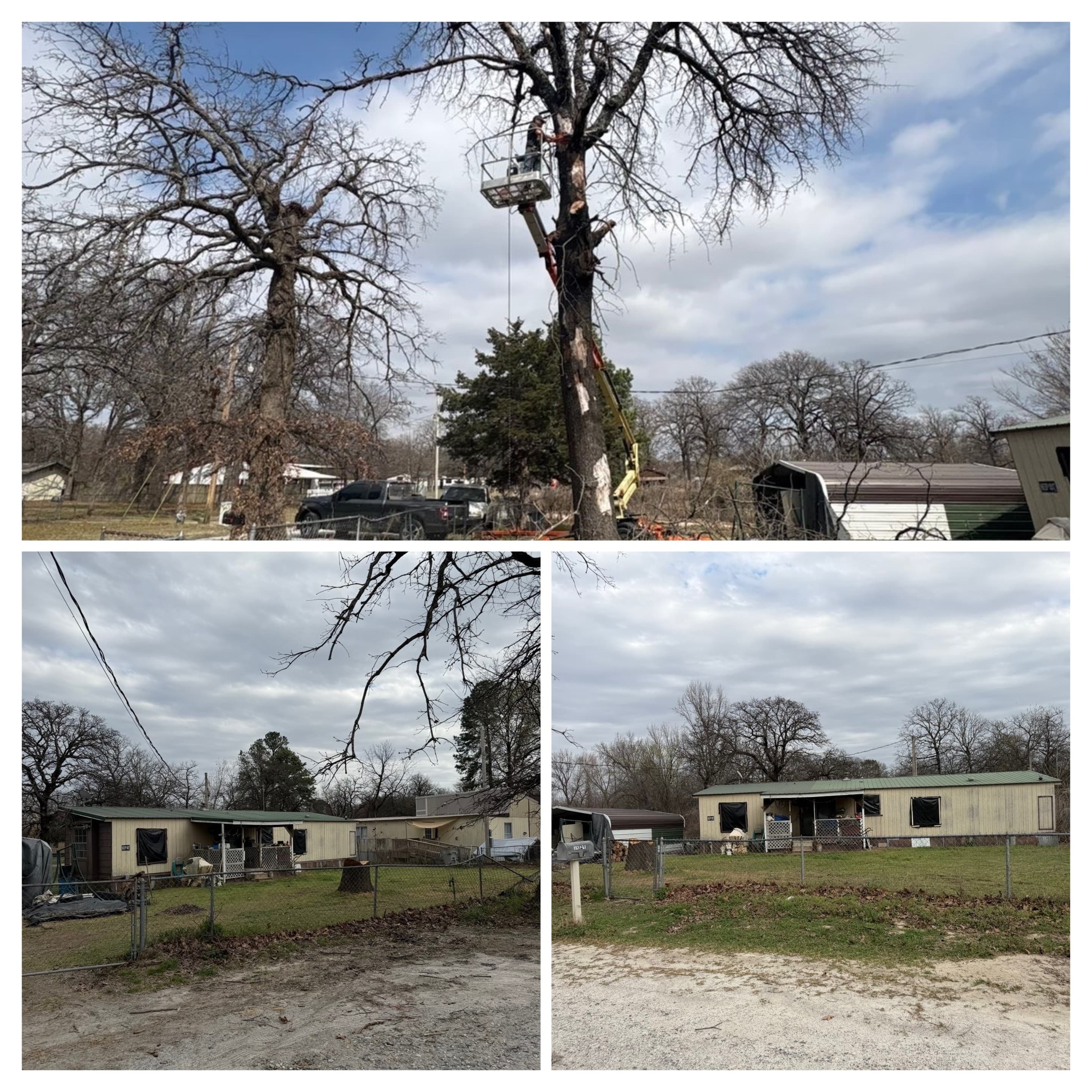 Worker in a lift bucket trims a tree above a mobile home and fenced yard.